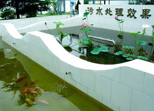 亚太森博接受山东省政府检阅 项目投资彰显绿色发展新高度